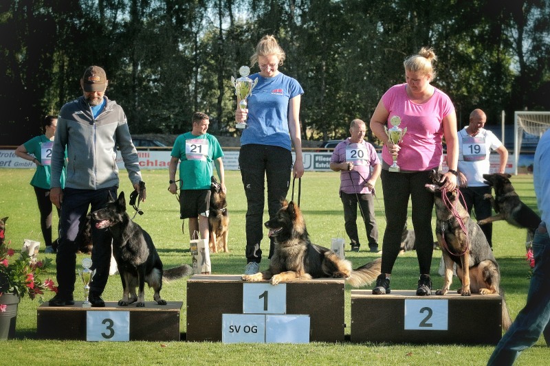 Agility